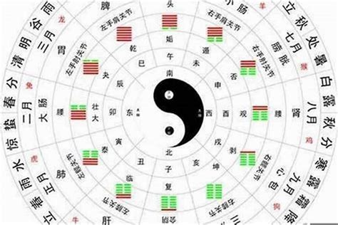 五行水命|水命的六种类型（一）、大溪水命有什么命理特点与五行搭配